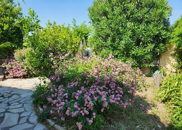 La De - Piscine Chauffee, 5 La Ciotat